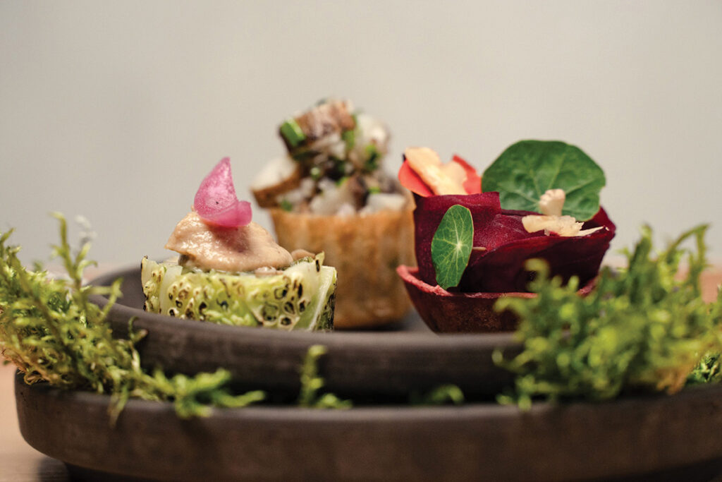 Arnór Ingi og Lina fá frábærar viðtökur með Skóg