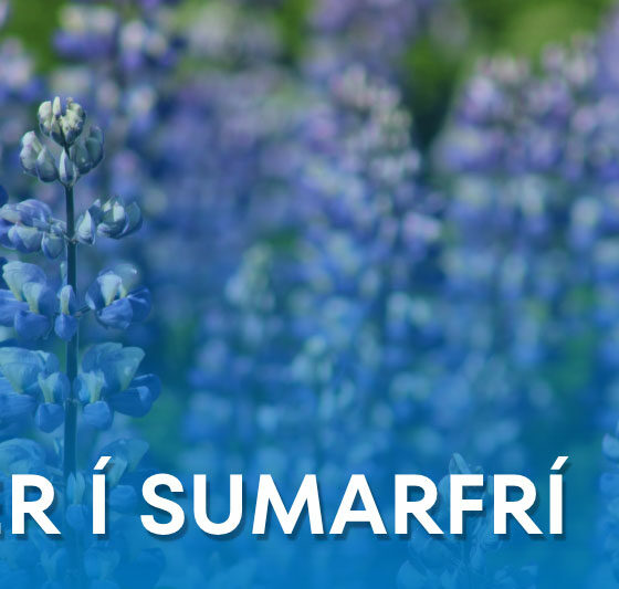 Iðan lokar tímabundið vegna sumarleyfa