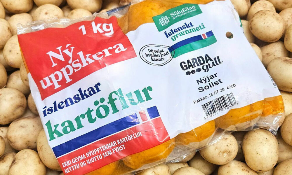 Nýjar íslenskar kartöflur vekja alltaf eftirvæntingu