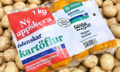 Nýjar íslenskar kartöflur vekja alltaf eftirvæntingu