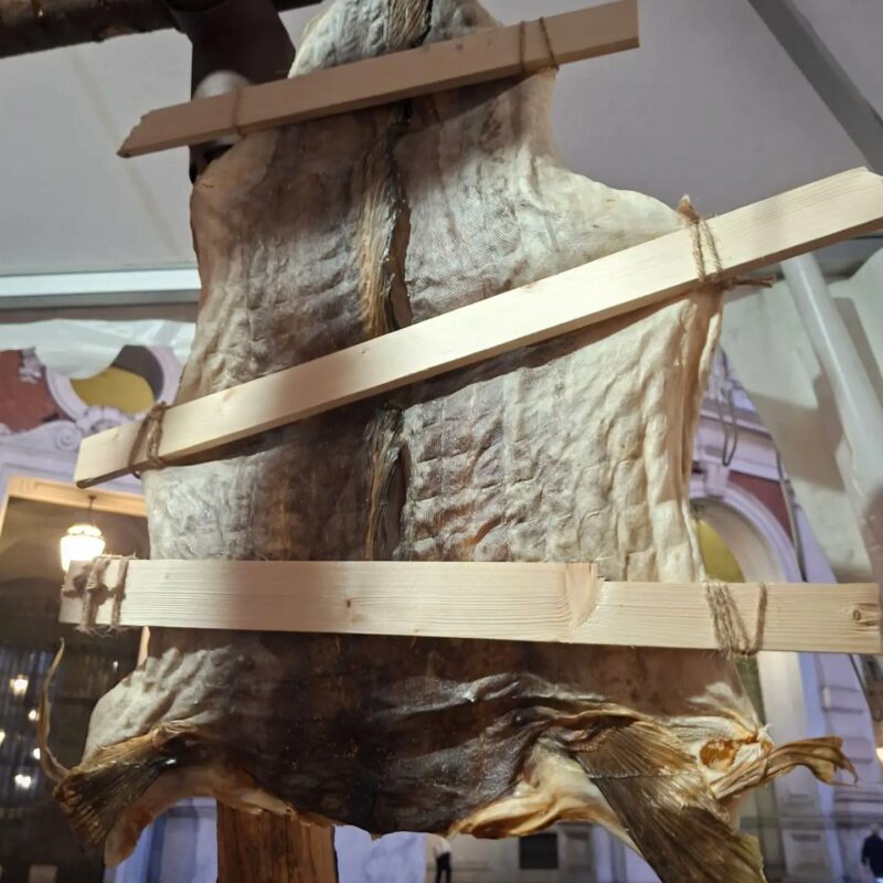 Matreiðslumeistarinn Dóra Svavarsdóttir: Ferðalag skreiðarinnar er umfangsmikið og margbrotið - Stockfish Journey - Slow food